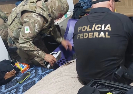 PF desarticula esquema bilionário de tráfico internacional