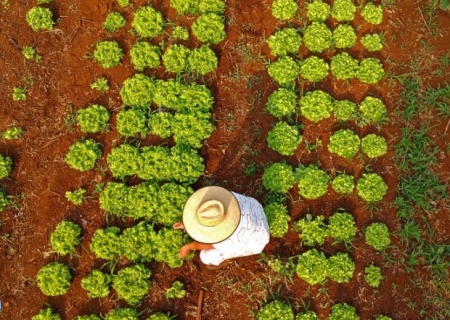 Governo de MS começa a pagar apoio de Fomento Rural para famílias de Corumbá