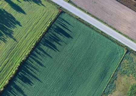 Imóvel rural de interesse da reforma agrária pode ser usado para quitar dívida com União