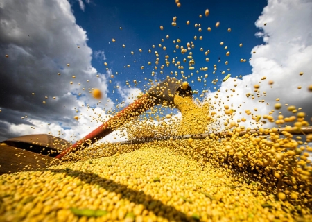 PIB do agro pode crescer 5% em 2025 diz CNA, que alerta para desafios