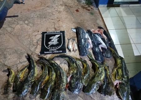 Polícia Ambiental flagra 5 pessoas praticando pesca predatória em MS