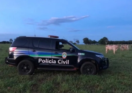 Proprietário rural relata furto de 27 cabeças de gado em fazenda em Anaurilândia