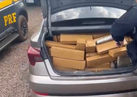 PRF apreende 812 kg de maconha em Campo Grande
