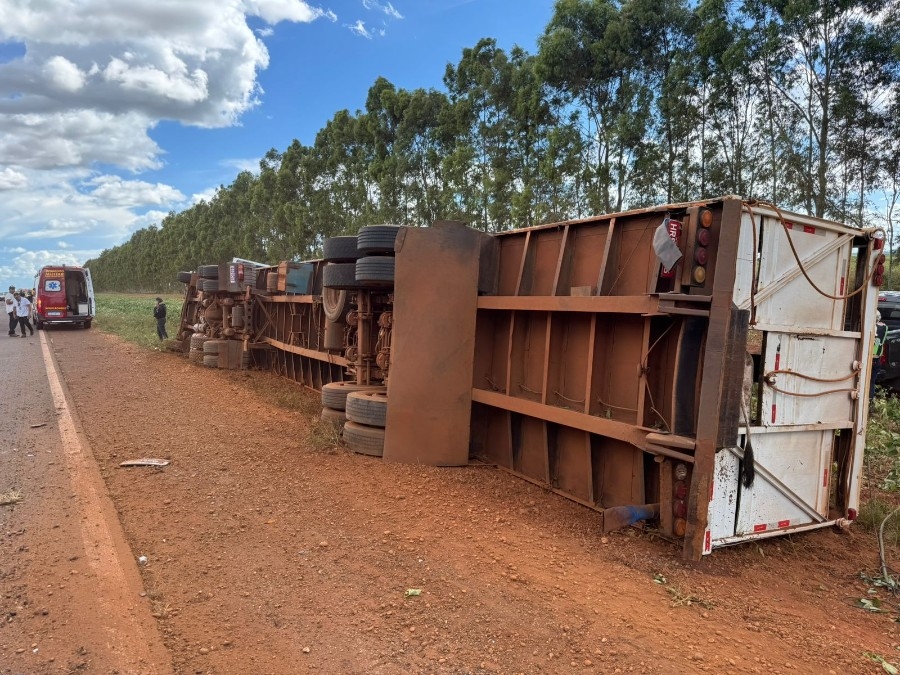 Carreta que transportava gado tomba na MS-134 em Nova Andradina
