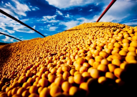 Exportações de soja totalizam 97,2 milhões de toneladas no Brasil