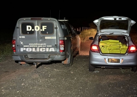 Veículo com drogas avaliadas em mais de R$ 1 milhão é apreendido pelo DOF na Capital