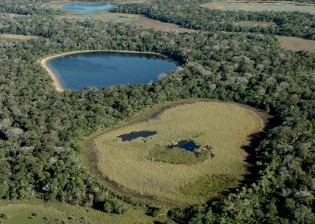 Encontro discute revisão do plano de manejo do Parque Estadual do Rio Negro