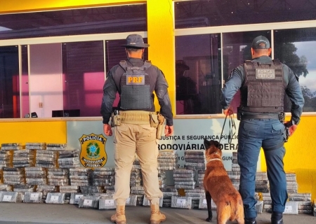 Com apoio de cães farejadores, PRF apreende mais de 230 kg de cocaína em Guia Lopes da Laguna