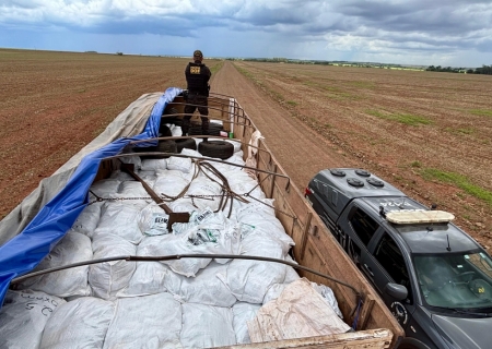8 ton de agrotóxicos contrabandeados que tinham como destino Nova Andradina, é apreendido pelo DOF em Laguna Carapã