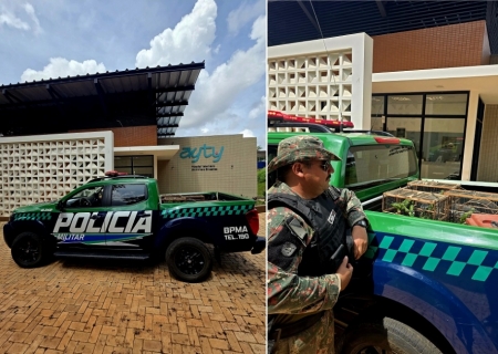Polícia Ambiental traz para Campo Grande 42 filhotes de caturrita resgatados no Pantanal