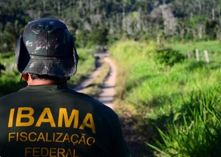 Ibama abre inscrições para concurso com 460 vagas e salário de até R$ 9,9 mil