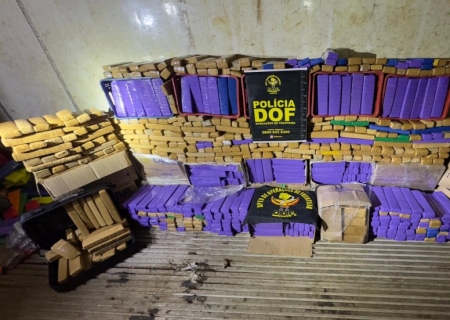 DOF apreende uma tonelada e meia de maconha em residência que servia de entreposto de drogas na Capital