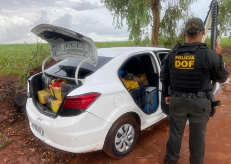 Homem que seguia para São Paulo com quase 400 kg de maconha é preso em Amambai