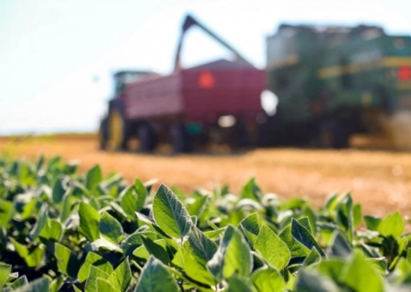 Plano Safra: entidades do agronegócio pedem previsibilidade e mais recursos