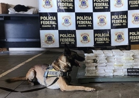 Ação conjunta da PF, PMPR, DOF, PMMS e RFB resulta na apreensão de 50 quilos de cocaína