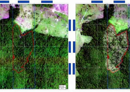 BNDES usa imagens de satélite para barrar empréstimo a desmatadores