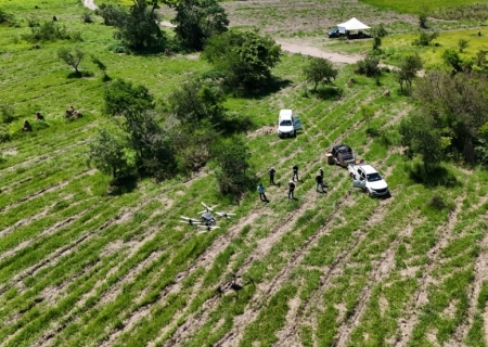 CESP adota uso de drones para ações de reflorestamento na região da UHE Porto Primavera