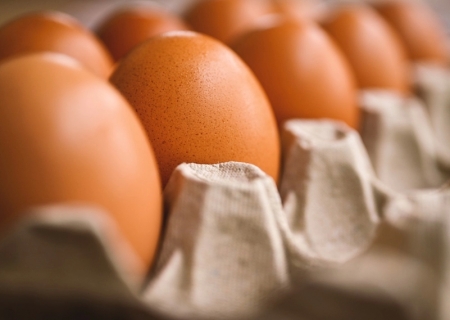 Alta no preço dos ovos é sazonal, afirma ABPA; saiba quando cotações devem cair