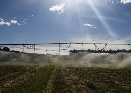 Governo publica MP com crédito extraordinário de R$ 4 bi a Plano Safra