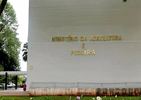 Mapa firma parceria com estados para inovação no agronegócio