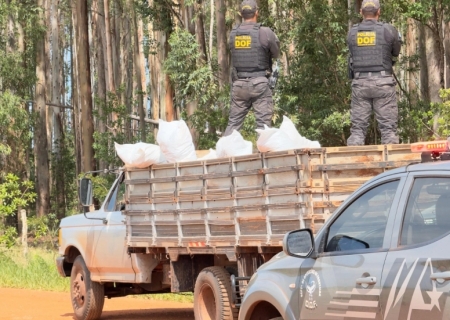Mais de três toneladas de defensivo agrícola ilegal são apreendidas pelo DOF em Ponta Porã