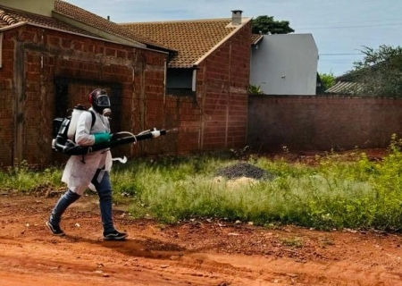 Secretaria de Saúde reforça alerta contra a dengue durante período de chuvas e calor