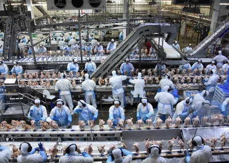 Receita com exportação de industrializados de MS alcançou US$ 446 milhões em fevereiro