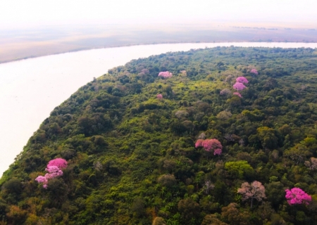 Com influência direta do fogo, resiliência do Pantanal é marcada por ciclos de cheia, seca e vegetação adaptada