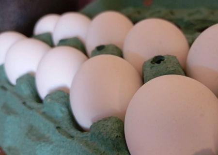 EUA aumentam em 90% importação de ovos do Brasil