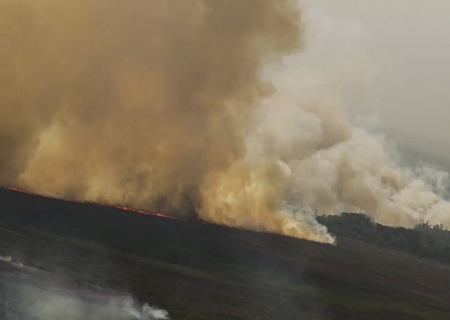 Dino homologa parcialmente plano anti-incêndios na Amazônia e Pantanal