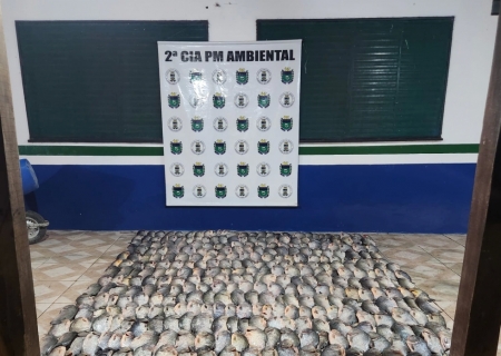 Polícia Ambiental apreende pescado irregular em Corumbá