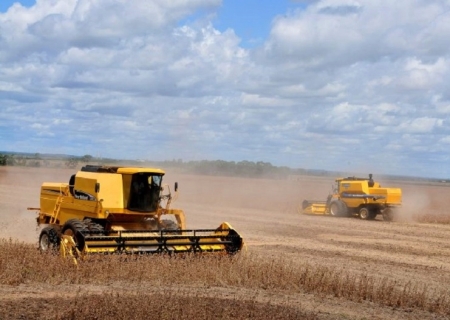Produção agrícola de Mato Grosso do Sul deve chegar a 75,3 milhões de toneladas na safra 2024/25