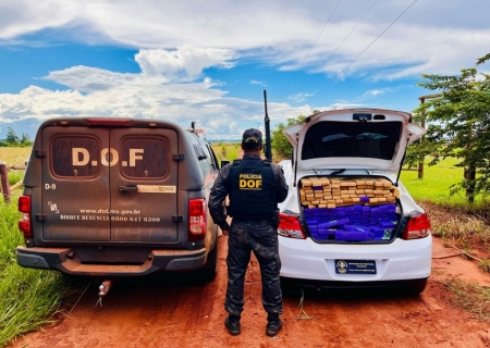 DOF apreende mais de meia tonelada de maconha em Ponta Porã