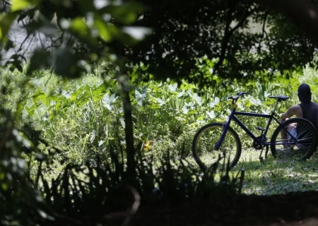 Outono começa com previsão de temperaturas acima de média