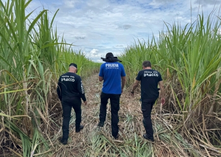 Dracco, Embraer e Seripa 4 estiveram no local do acidente aéreo em Nova Andradina