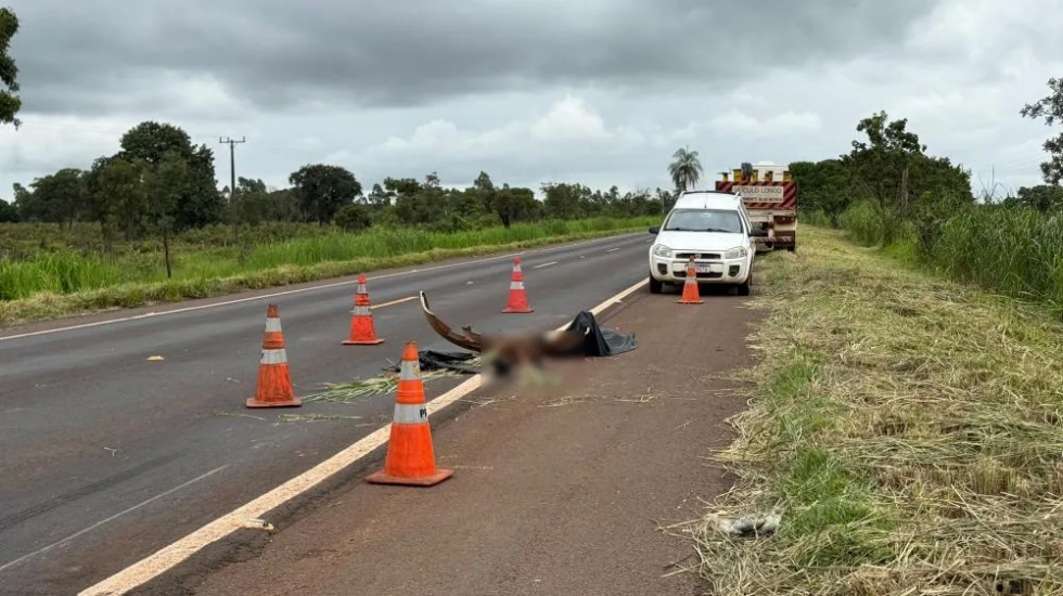 Criança morre em acidente entre carro e caminhão na BR-267