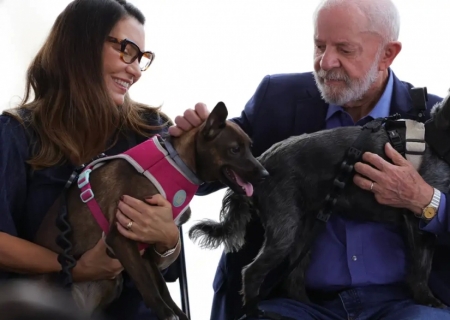 Lula lança programa de identificação e proteção de cães e gatos