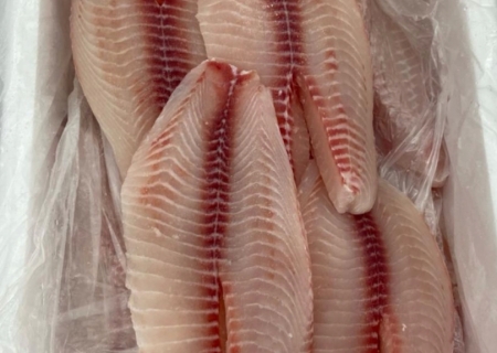 Brasil pode começar a exportar pescados para a China