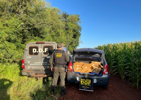 Traficante abandona veículo com 1,3 tonelada de skunk e maconha em Dourados