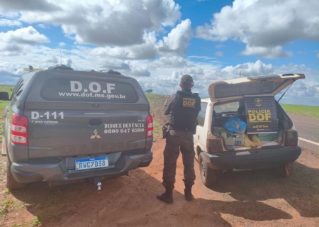 DOF apreende drogas avaliadas em R$ 1 milhão em Paranhos