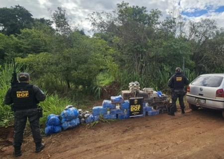 DOF apreende mais de meia tonelada de droga em meio a mata em Amambai