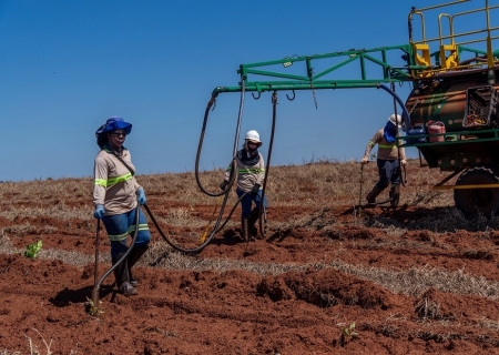 MS Florestal realiza ação de capitação de currículos em Anaurilândia