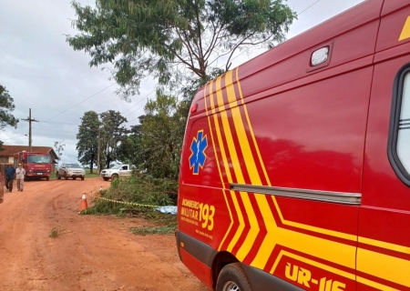 Homem morre eletrocutado enquanto cortava árvore em área rural de Ivinhema