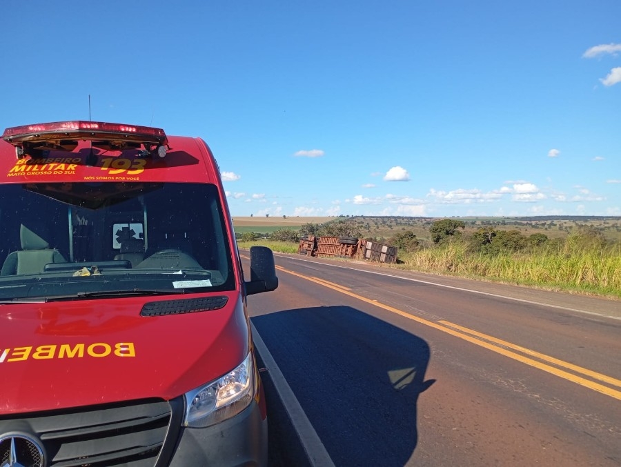 Carreta carregada de gado tomba na BR-267