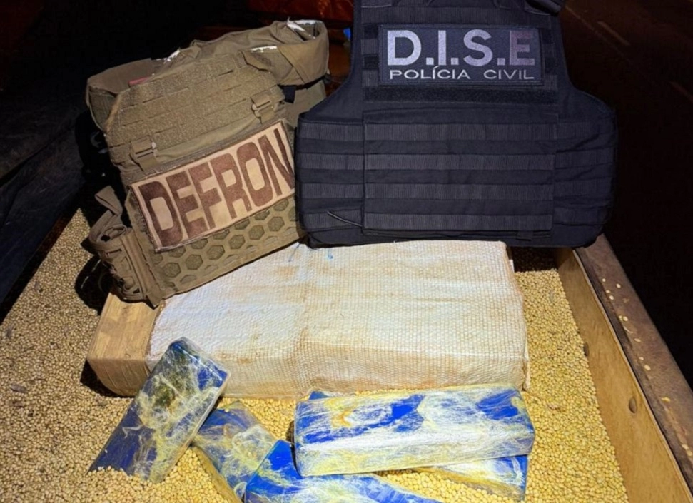 Def. Ron Dt Ação conjunta da Dise e Defron apreende 7,2 ton de maconha entre ...