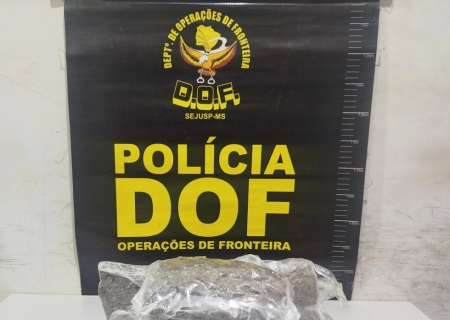 Mulher é flagrada pelo DOF viajando com skunk preso ao corpo em Maracaju