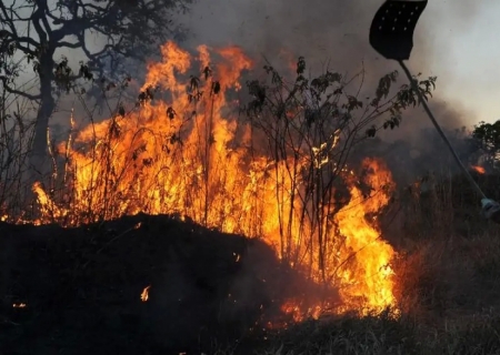 Ibama multa 242 pessoas por incêndios criminosos em 2024