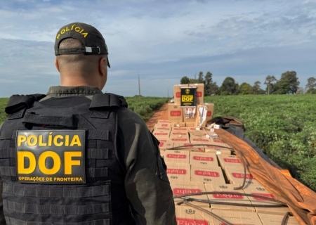 Carga milionária de cigarros contrabandeados é apreendida pelo DOF em Mundo Novo