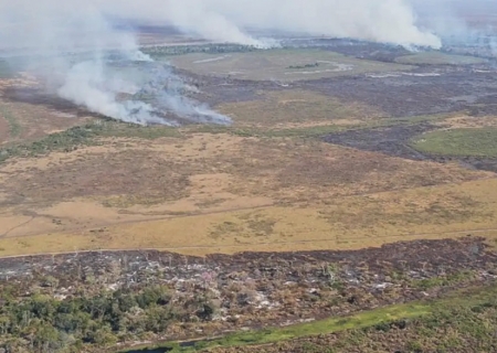Amazônia: alerta de desmatamento cresce e mobiliza governo