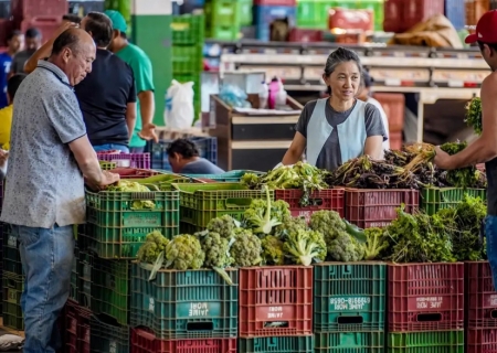Anvisa inicia monitoramento de resíduos de agrotóxicos em alimentos